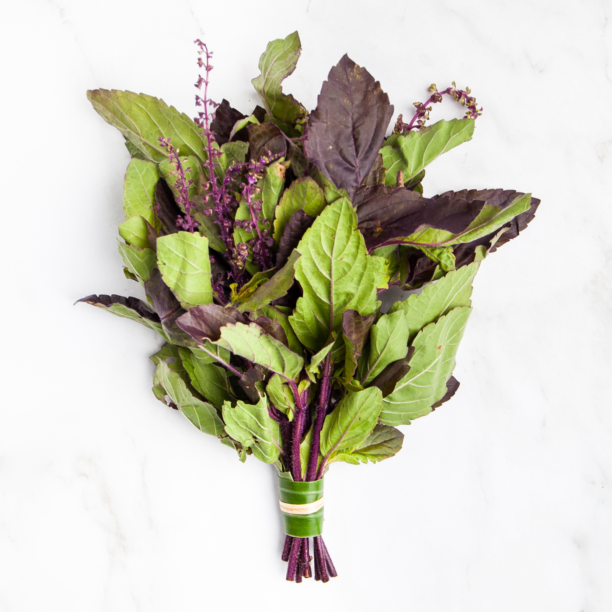 Organic Red Holy Basil